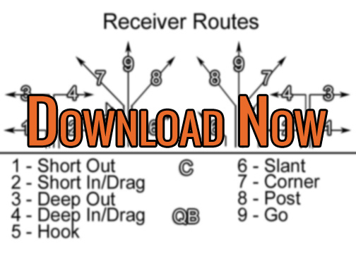 flag football playbook 8 on 8 pdf